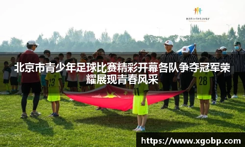 南宫ng28官方网站