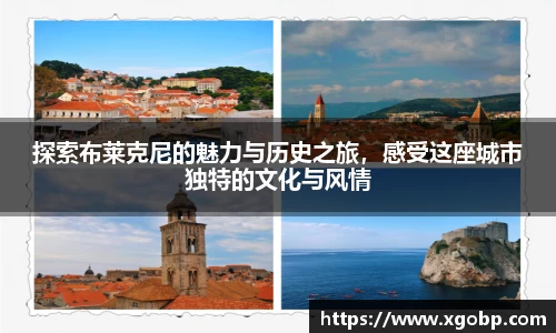 南宫ng28官方网站