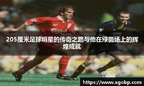 205厘米足球明星的传奇之路与他在绿茵场上的辉煌成就